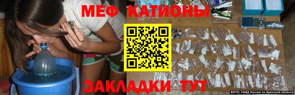 Кыштым  МЕФ  Вход с VPN  МЯУ-МЯУ VHQ 