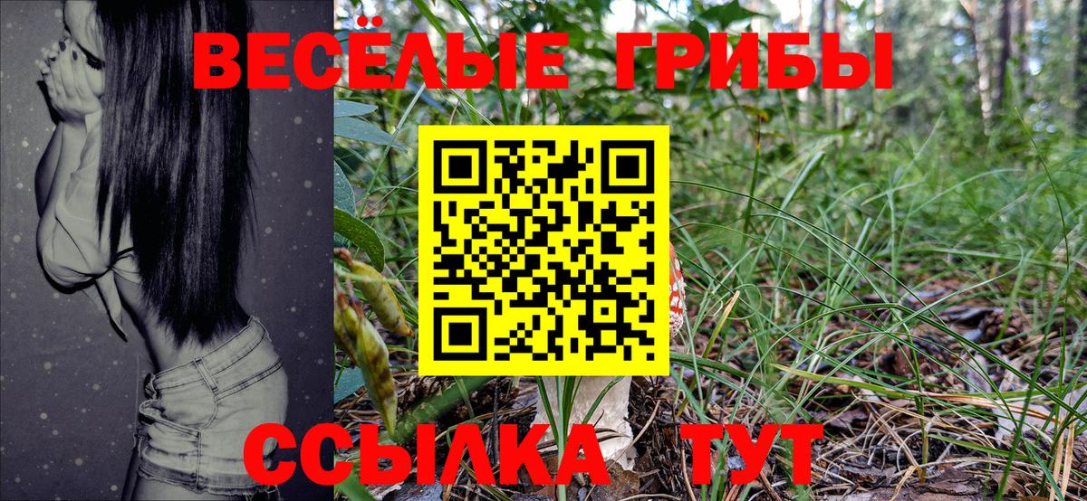 Галлюциногенные грибы Cubensis Кыштым
